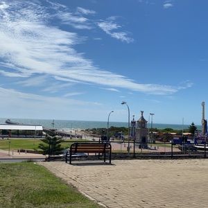 Meet your Posher, Scarlett